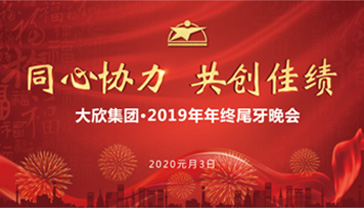 同心协力 共创辉煌——大欣集团2019年年会